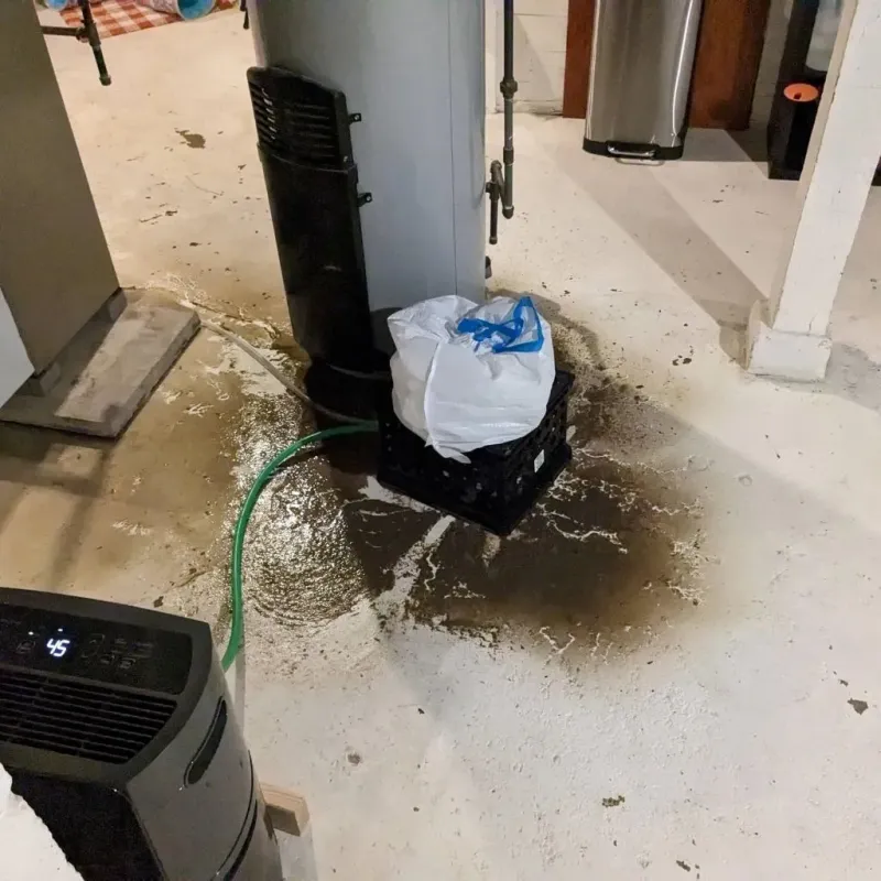 Sewage Backup Cleanup Service in Tarrant, AL